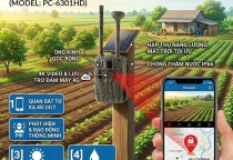 CAMERA BẪY ẢNH PICOTECH 4G+GPS NĂNG LƯỢNG MẶT TRỜI PC-6301HD: GIẢI PHÁP “GIỮ TRỌN MÙA VỤ” CHO NHÀ NÔNG