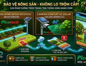 BẢO VỆ MÙA MÀNG TRỌN VẸN: GIẢI PHÁP BÁO ĐỘNG VÀ CAMERA AN NINH CHUYÊN DỤNG CHO TRANG TRẠI SẦU RIÊNG, MĂNG CỤT TỪ NANO CORP.